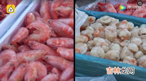 冷冻烤肠常温下能放多久,批发冷冻烤肠买时显示过期,还可以吃吗?