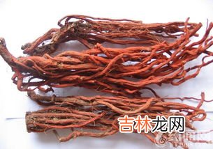 丹参粉的功效,丹参粉的功效