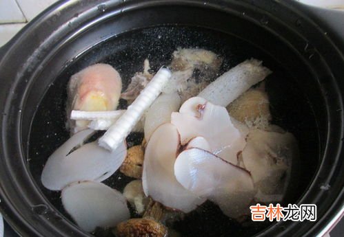 鲨鱼骨的副作用,&#65279;鲨鱼骨作用与功效，有什么副作用？