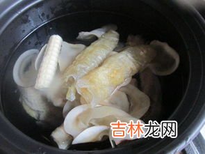 鲨鱼骨的副作用,&#65279;鲨鱼骨作用与功效，有什么副作用？