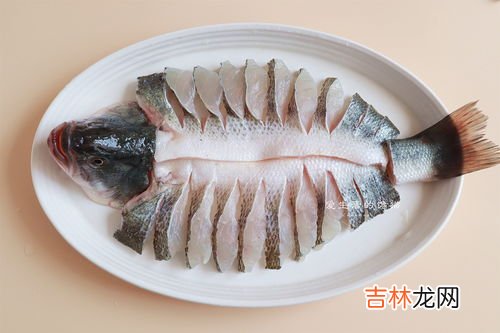 鱼骨头是干垃圾吗,鱼骨头是什么垃圾