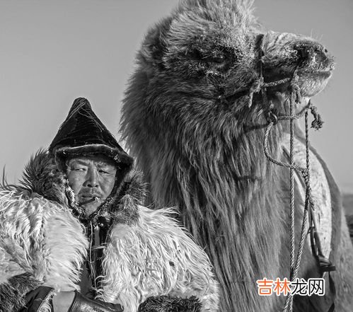 巴图鲁什么意思,巴图鲁汽车配件交易平台是做什么的？