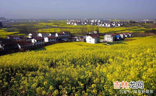 洋县是哪个省哪个市,山西洋县属于哪个市