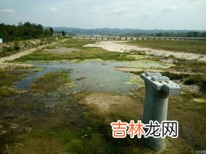 洋县是哪个省哪个市,山西洋县属于哪个市