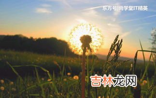 蒲公英怎么保存,新鲜蒲公英怎样保存？