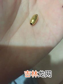 用打火机烧黄金可以辨别真假吗,黄金可以用打火机直接烧辨别真假吗？