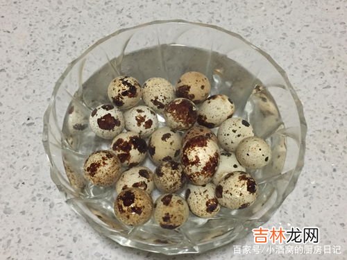 鹌鹑蛋煮多久能熟,鹌鹑蛋煮多久能熟?