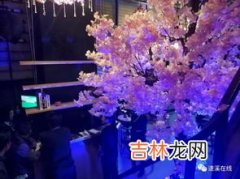 开音乐会什么意思,什么是音乐会？