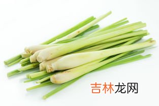 香茅是什么东西,香茅草在卤菜中起到什么作用？为什么这么说？