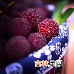 仙居杨梅是哪里产的,你知道我国以盛产杨梅闻名的县城是哪个吗?