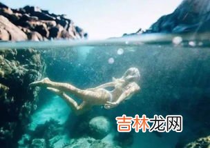 地球的清洁工是指什么呢,地球的清洁工还有哪些