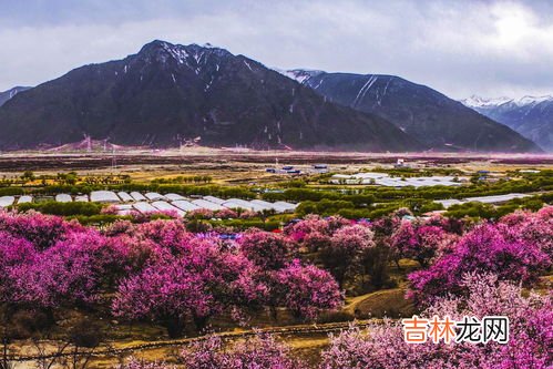 桃花节是啥意思,已婚遇到桃花劫怎么办