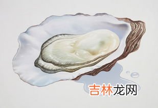 牡蛎壳提取物作用,牡蛎壳提取物软胶囊的功效