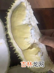 没熟的榴莲放几天能熟,没开口的榴莲能放几天如何保存
