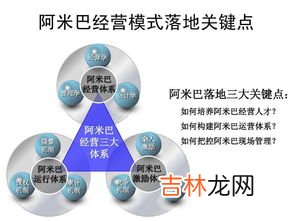 什么是阿米巴管理模式,阿米巴经营管理模式是什么