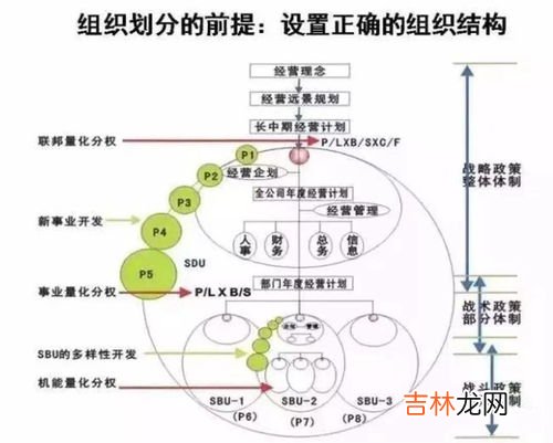 什么是阿米巴管理模式,阿米巴经营管理模式是什么