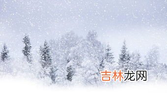 冬雪雪冬中指的是哪四个节气,春雨惊春清谷天 夏满芒夏暑相连 秋处露秋寒霜降 冬雪雪冬小大寒 是哪二十四节气