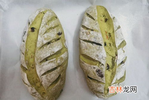 欧包热量真的低吗,欧包为什么叫欧包 欧包可以减肥吗