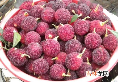 杨梅洗了能保存多久,杨梅洗过了之后，要怎么保存？