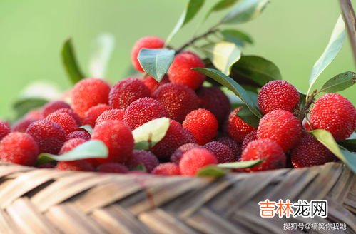 杨梅洗了能保存多久,杨梅洗过了之后，要怎么保存？