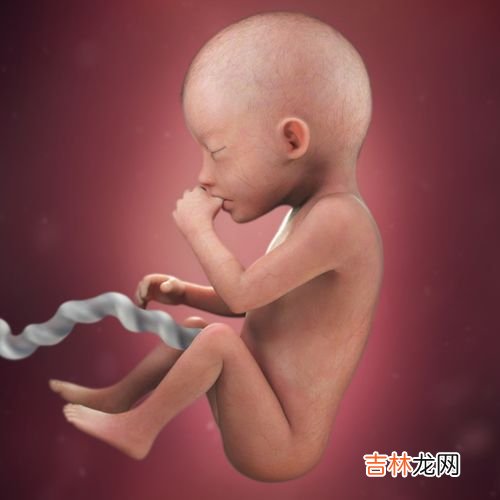 胎儿为什么腿夹得紧,宝宝两腿夹紧使劲是怎么回事