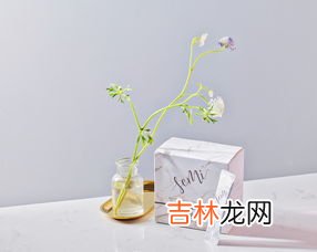 森米酵素森米综合果蔬粥的价格,森米酵素是什么？有人吃过？
