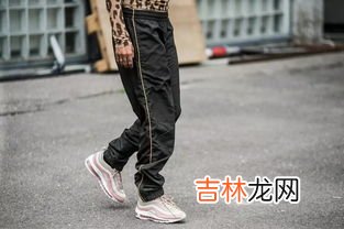 dickies怎么读,这双是什么鞋 那个系列