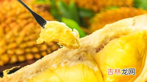 怎么挑选榴莲肉多好吃,怎样挑选榴莲肉好吃 如何挑选榴莲肉好吃