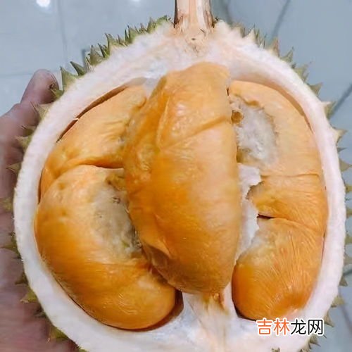 怎么挑选榴莲肉多好吃,怎样挑选榴莲肉好吃 如何挑选榴莲肉好吃