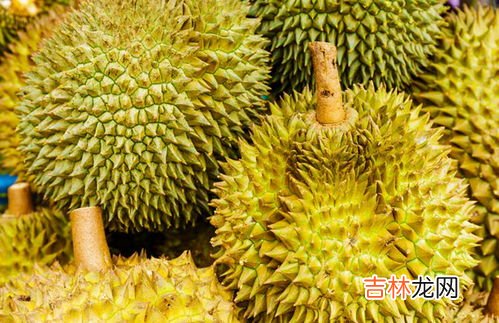 怎么挑选榴莲肉多好吃,怎样挑选榴莲肉好吃 如何挑选榴莲肉好吃