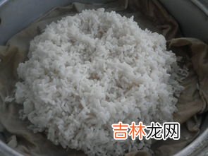 制作米酒用什么菌,制作米酒需要的微生物是酒曲对吗