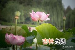 夏天的特点是什么,夏天的特点