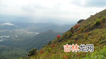 东莞银瓶山海拔多少米高,东莞银瓶山森林公园好玩吗