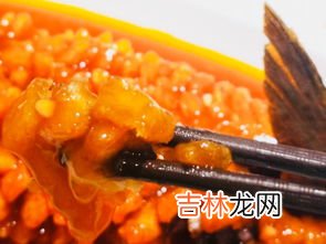 松鼠鱼是哪里的菜,松鼠桂鱼是哪里的菜