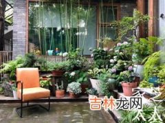 [从零开始学养花]如何判断植物缺水,[从零开始学养花]如何判断植物缺水?什么叫见干见湿?三分