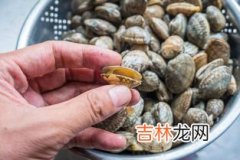 花蛤不张嘴吐沙怎么办,花蛤泡水里一直不张口