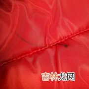 衣服上的水笔迹怎么洗掉,衣服上有笔迹怎么去除