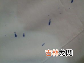 衣服上的水笔迹怎么洗掉,衣服上有笔迹怎么去除