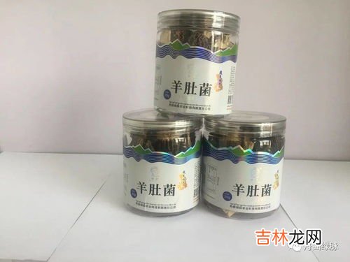 维安双菇是西药还是中药,维安双菇真的可以治胃病？