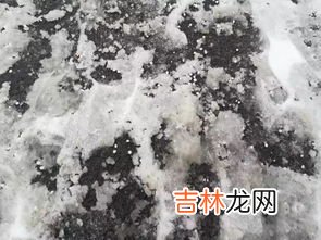 盐能融雪吗,盐为什么可以融化雪