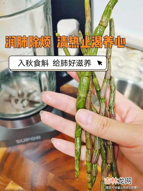 铁皮石斛鲜榨汁品牌排行榜,石斛新鲜的食用方法 石斛新鲜如何食用