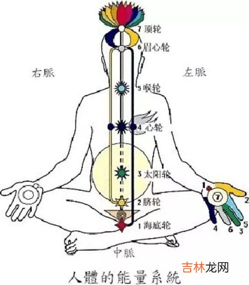 体育运动负荷是指人体在什么过程中,高手们帮忙答几道大学体育考试问题