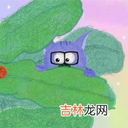 七星瓢虫是益虫吗,七星瓢虫是益虫还是害虫