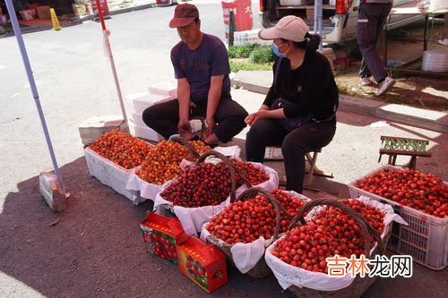 樱桃买多了怎么保存,樱桃怎么保存