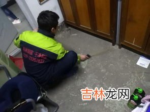 被蟑螂爬过的东西还能用么 蟑螂爬过的东西能用吗,蟑螂爬过的东西能用吗?