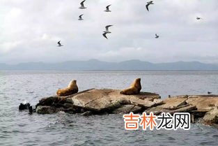 极昼极夜现象出现在哪,极昼极夜现象出现在哪