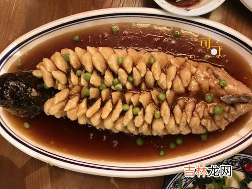 糖醋松鼠鱼是哪个地方的菜,糖醋鱼松鼠鱼是什么地方的菜