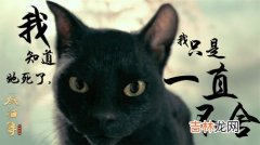 猫是哪个朝代传入中国的,猫是什么时候传入我国的？