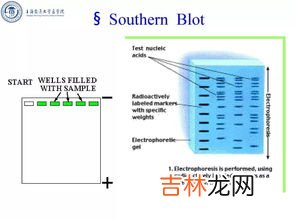 巴氏消毒法基本原理,什么是巴氏消毒法?