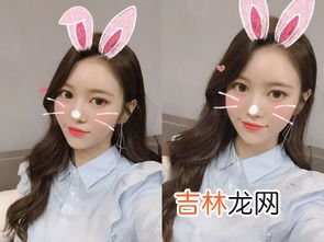 jane是什么意思,jane中文是什么意思